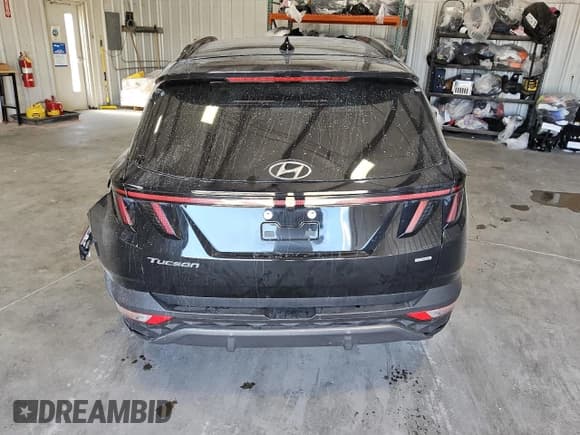 ✅ 2024 Hyundai Tucson Limited • VIN: 5NMJECDE5RH353585 • Lot: 80776264. Wystawiony na Copart z przebiegiem 35 759 mil. Bezpłatny archiwum sprzedaży aukcyjnych z USA i szczegółowy raport historii pojazdu na DreamBid. Zdjęcie 6.