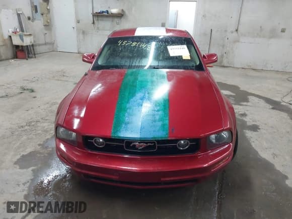 ✅ 2006 Ford Mustang Standard • VIN: 1ZVHT80N265230121 • Lot: 43731148. Listed on IAAI with Not provided. Free auction sales archive from the USA and detailed vehicle history report at DreamBid. Image 11.