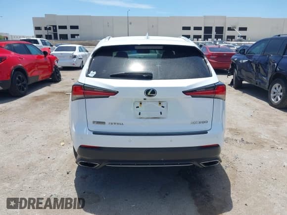 ✅ 2019 Lexus NX 300 • VIN: JTJBARBZ6K2207065 • Lot: 42850224. Listed on IAAI with 95,286 mi. Free auction sales archive from the USA and detailed vehicle history report at DreamBid. Image 16.