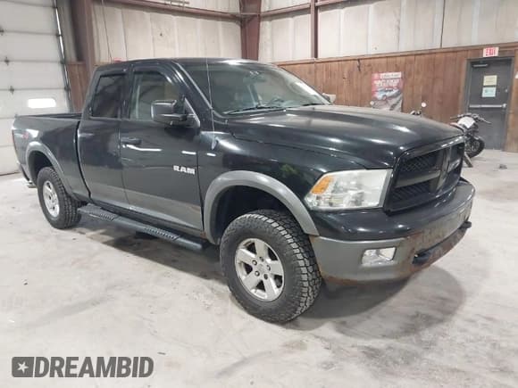 ✅ 2010 Dodge 1500 SLT • VIN: 1D7RV1GP9AS133739 • Lot: 41935213. Wystawiony na IAAI z przebiegiem 293 043 mil. Bezpłatny archiwum sprzedaży aukcyjnych z USA i szczegółowy raport historii pojazdu na DreamBid. Zdjęcie 1.