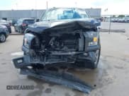 ✅ 2017 Ford F-150 XL • VIN: 1FTEW1CP7HKE35908 • Lot: 43442010. Wystawiony na IAAI z przebiegiem 176 851 mil. Bezpłatny archiwum sprzedaży aukcyjnych z USA i szczegółowy raport historii pojazdu na DreamBid. Zdjęcie 12.