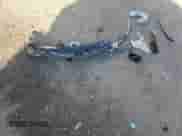 2020 Hyundai Veloster 2.0 z VIN KMHTG6AF2LU031614, wystawiony jako Copart lot #80668044 z przebiegiem 48 889 mil mil oraz Szkoda całkowita • Salvage title. Historia ofert i sprzedaży dostępna na DreamBid. Obrazek 12.