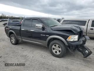 ✅ 2010 Dodge 1500 TRX • VIN: 1D7RV1GT3AS116223 • Lot: 51526625. Wystawiony na Copart z przebiegiem 238 258 mil. Bezpłatny archiwum sprzedaży aukcyjnych z USA i szczegółowy raport historii pojazdu na DreamBid. Zdjęcie 4.