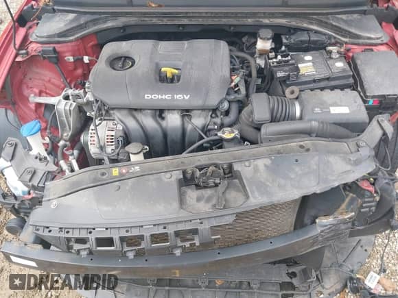 2018 Hyundai Elantra SEL z VIN 5NPD84LF9JH234661, wystawiony jako IAAI lot #43314986 z przebiegiem 82 683 mil mil oraz . Historia ofert i sprzedaży dostępna na DreamBid. Obrazek 10.