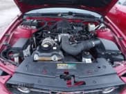 ✅ 2006 Ford Mustang Standard • VIN: 1ZVHT80N265230121 • Lot: 43731148. Listed on IAAI with Not provided. Free auction sales archive from the USA and detailed vehicle history report at DreamBid. Image 10.