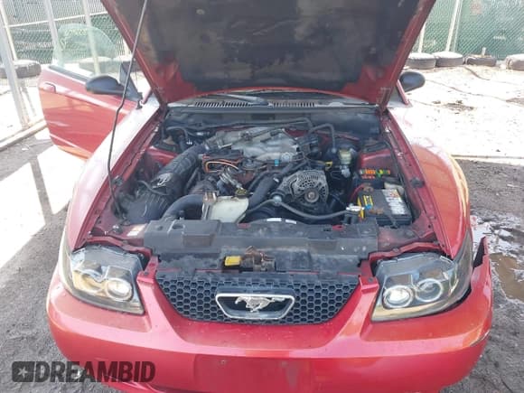 ✅ 2000 Ford Mustang • VIN: 1FAFP4044YF277880 • Lot: 42542108. Wystawiony na IAAI z przebiegiem Nie podano. Bezpłatny archiwum sprzedaży aukcyjnych z USA i szczegółowy raport historii pojazdu na DreamBid. Zdjęcie 10.