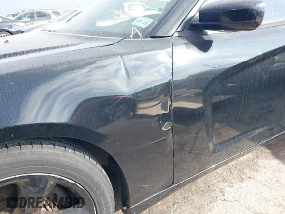 ✅ 2014 Dodge Charger RT • VIN: 2C3CDXCT7EH356453 • Lot: 41484769. Listed on IAAI with 130,225 mi. Free auction sales archive from the USA and detailed vehicle history report at DreamBid. Image 21.