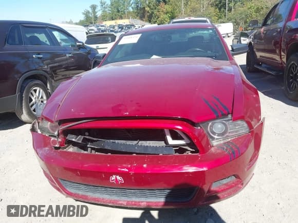 ✅ 2014 Ford Mustang V6 • VIN: 1ZVBP8AMXE5295829 • Lot: 43488494. Listed on IAAI with 145,624 mi. Free auction sales archive from the USA and detailed vehicle history report at DreamBid. Image 12.