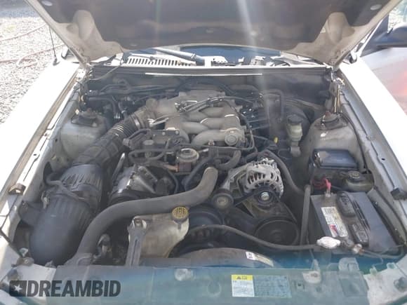 ✅ 2003 Ford Mustang Standard • VIN: 1FAFP40483F336213 • Lot: 43780203. Wystawiony na IAAI z przebiegiem 102 274 mil. Bezpłatny archiwum sprzedaży aukcyjnych z USA i szczegółowy raport historii pojazdu na DreamBid. Zdjęcie 10.