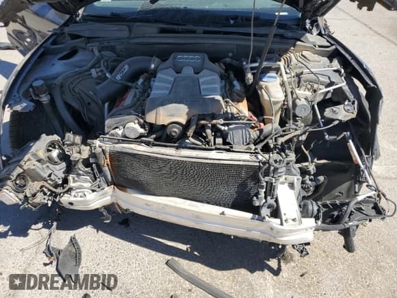 ✅ 2014 Audi S5 Prestige • VIN: WAUVGAFR5EA012656 • Лот: 49497415. Опубликован ранее на Copart с пробегом 62 230 миль. Бесплатный доступ к архиву аукционных продаж из США и подробный отчёт об истории автомобиля на DreamBid. Изображение 13.