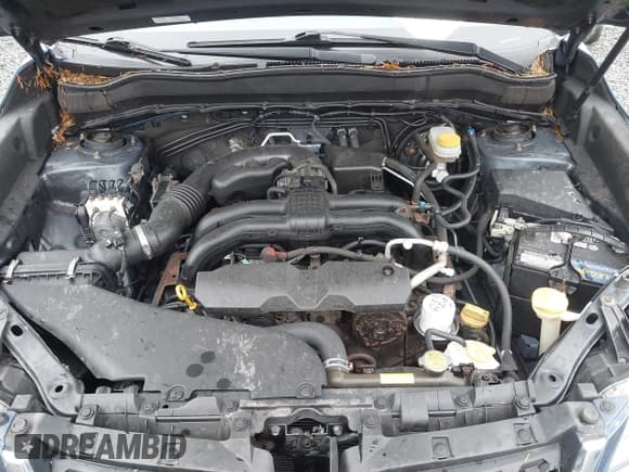 ✅ 2016 Subaru Forester 2.5i • VIN: JF2SJABC9GH488543 • Lot: 43772902. Listed on IAAI with 126,251 mi. Free auction sales archive from the USA and detailed vehicle history report at DreamBid. Image 10.