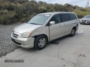 ✅ 2006 Honda Odyssey EX-L • VIN: 5FNRL38656B410666 • Лот: 80554015. Опубликован ранее на Copart с пробегом 243 001 миль. Бесплатный доступ к архиву аукционных продаж из США и подробный отчёт об истории автомобиля на DreamBid. Изображение 1.