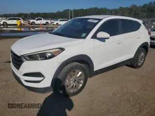 ✅ 2017 Hyundai Tucson SE • VIN: KM8J23A49HU290742 • Lot: 85763415. Wystawiony na Copart z przebiegiem Nie podano. Bezpłatny archiwum sprzedaży aukcyjnych z USA i szczegółowy raport historii pojazdu na DreamBid. Zdjęcie 1.