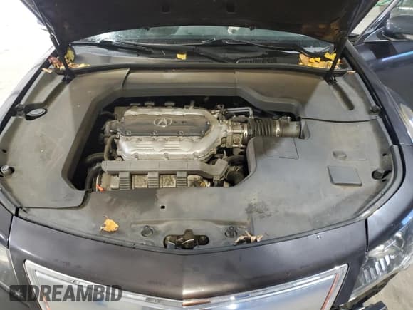 ✅ 2012 Acura TL Technology • VIN: 19UUA8F5XCA038710 • Lot: 91531455. Wystawiony na Copart z przebiegiem 107 060 mil. Bezpłatny archiwum sprzedaży aukcyjnych z USA i szczegółowy raport historii pojazdu na DreamBid. Zdjęcie 11.