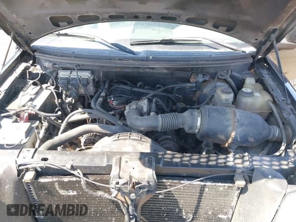 ✅ 2007 Ford F-150 XL • VIN: 1FTRF122X7NA25883 • Lot: 43077908. Listed on IAAI with 274,877 mi. Free auction sales archive from the USA and detailed vehicle history report at DreamBid. Image 10.