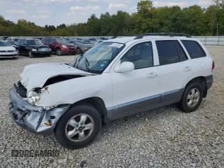 ✅ 2005 Hyundai Santa Fe GLS • VIN: KM8SC13D05U993029 • Lot: 81213305. Listed on Copart with 255,879 mi. Free auction sales archive from the USA and detailed vehicle history report at DreamBid. Image 1.