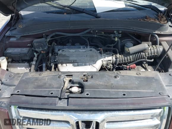 ✅ 2007 Honda Pilot EX-L • VIN: 5FNYF28507B017115 • Lot: 43214207. Wystawiony na IAAI z przebiegiem 163 244 mil. Bezpłatny archiwum sprzedaży aukcyjnych z USA i szczegółowy raport historii pojazdu na DreamBid. Zdjęcie 10.