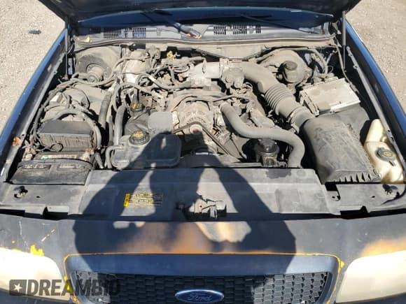 ✅ 2011 Ford Police Interceptor • VIN: 2FABP7BVXBX137916 • Lot: 89519195. Listed on Copart with Not provided. Free auction sales archive from the USA and detailed vehicle history report at DreamBid. Image 11.