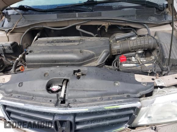 ✅ 2004 Honda Odyssey EX-L • VIN: 5FNRL18914B036407 • Lot: 41939932. Listed on IAAI with 243,790 mi. Free auction sales archive from the USA and detailed vehicle history report at DreamBid. Image 10.