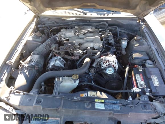 ✅ 2002 Ford Mustang Standard • VIN: 1FAFP40402F120094 • Lot: 43734482. Listed on IAAI with 266,348 mi. Free auction sales archive from the USA and detailed vehicle history report at DreamBid. Image 10.