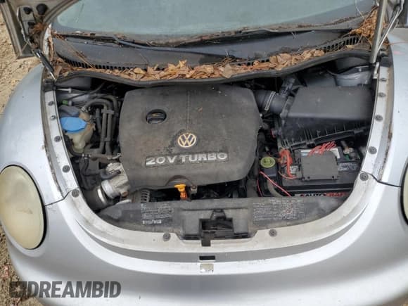 ✅ 2003 Volkswagen Beetle GLS • VIN: 3VWCD21Y43M319689 • Lot: 79345234. Listed on Copart with Not provided. Free auction sales archive from the USA and detailed vehicle history report at DreamBid. Image 11.