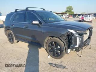 2025 Hyundai Palisade XRT with VIN KM8R34GE1SU834549, listed as a IAAI auction lot 43165313 with 11,080 mi miles and . Bid and sale history available at DreamBid. Image 1.