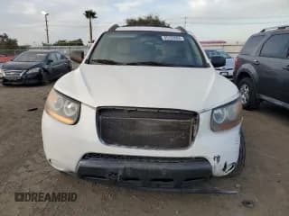 ✅ 2009 Hyundai Santa Fe GLS • VIN: 5NMSG13D99H277672 • Lot: 85132864. Listed on Copart with 192,072 mi. Free auction sales archive from the USA and detailed vehicle history report at DreamBid. Image 5.