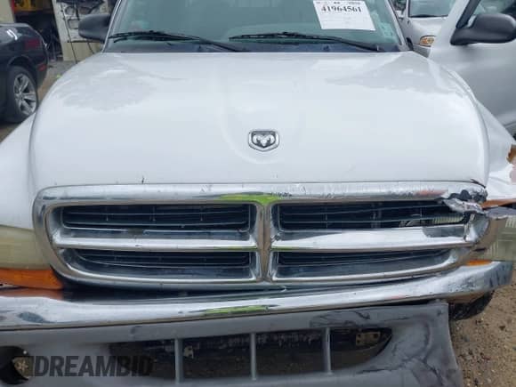 ✅ 2000 Dodge Dakota Sport • VIN: 1B7GL2AN4YS691223 • Лот: 41964561. Размещён на IAAI с пробегом 169 936 миль миль. Получите бесплатный доступ к архиву аукционных продаж из США и посмотрите подробный отчёт об истории автомобиля на DreamBid. Изображение 10.