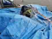 2006 Dodge 3500 SLT z VIN 3D7LX39C96G159374, wystawiony jako Copart lot #59817365 z przebiegiem Nie podano mil oraz Czysty tytuł • Clean title. Historia ofert i sprzedaży dostępna na DreamBid. Obrazek 12.