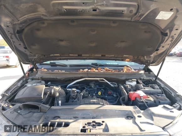 ✅ 2020 Ford Ranger XLT • VIN: 1FTER4FHXLLA95671 • Lot: 43760085. Listed on IAAI with 98,750 mi. Free auction sales archive from the USA and detailed vehicle history report at DreamBid. Image 10.