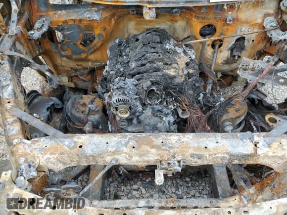 ✅ 2024 Chevrolet Silverado 1500 LT Trail Boss • VIN: 3GCUDFED6RG397128 • Lot: 63386215. Listed on Copart with Not provided. Free auction sales archive from the USA and detailed vehicle history report at DreamBid. Image 11.