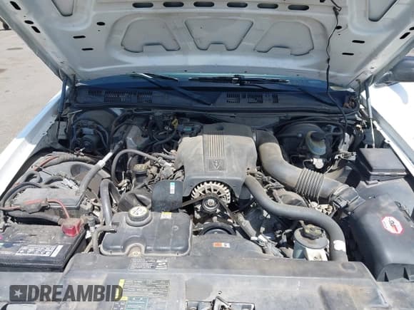 ✅ 2003 Ford Police Interceptor Street Appear • VIN: 2FAHP71W83X210044 • Lot: 42360011. Listed on IAAI with 183,569 mi. Free auction sales archive from the USA and detailed vehicle history report at DreamBid. Image 10.