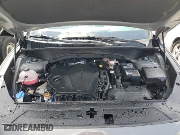 ✅ 2021 Hyundai Santa Fe SE • VIN: 5NMS14AJ5MH338424 • Lot: 49320503. Wystawiony na Copart z przebiegiem 21 930 mil. Bezpłatny archiwum sprzedaży aukcyjnych z USA i szczegółowy raport historii pojazdu na DreamBid. Zdjęcie 12.