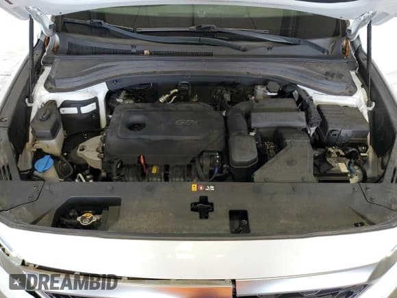 ✅ 2019 Hyundai Santa Fe SE • VIN: 5NMS2CAD0KH107431 • Lot: 64004293. Wystawiony na Copart z przebiegiem 41 715 mil. Bezpłatny archiwum sprzedaży aukcyjnych z USA i szczegółowy raport historii pojazdu na DreamBid. Zdjęcie 12.