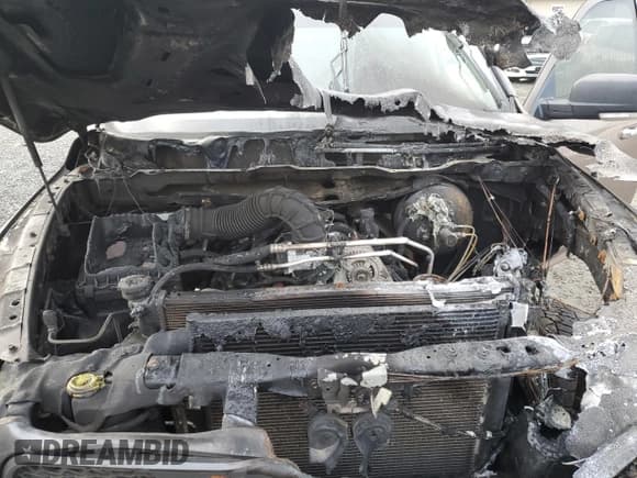 ✅ 2009 Dodge 1500 SLT • VIN: 1D3HV13T89S733471 • Lot: 87426464. Wystawiony na Copart z przebiegiem Nie podano. Bezpłatny archiwum sprzedaży aukcyjnych z USA i szczegółowy raport historii pojazdu na DreamBid. Zdjęcie 12.