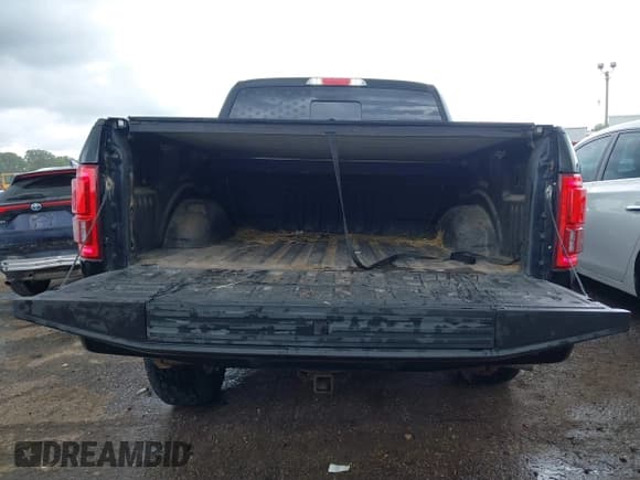 ✅ 2017 Ford F-150 XL • VIN: 1FTEW1EG6HFB41177 • Lot: 42494824. Listed on IAAI with 130,692 mi. Free auction sales archive from the USA and detailed vehicle history report at DreamBid. Image 16.