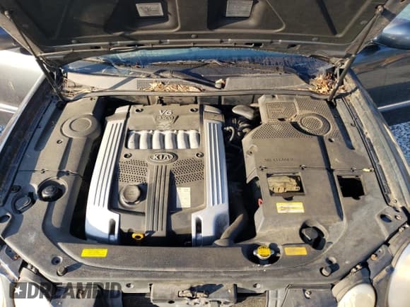 ✅ 2004 Kia Amanti • VIN: KNALD124645019133 • Лот: 74045864. Опубликован ранее на Copart с пробегом 178 920 миль. Бесплатный доступ к архиву аукционных продаж из США и подробный отчёт об истории автомобиля на DreamBid. Изображение 13.