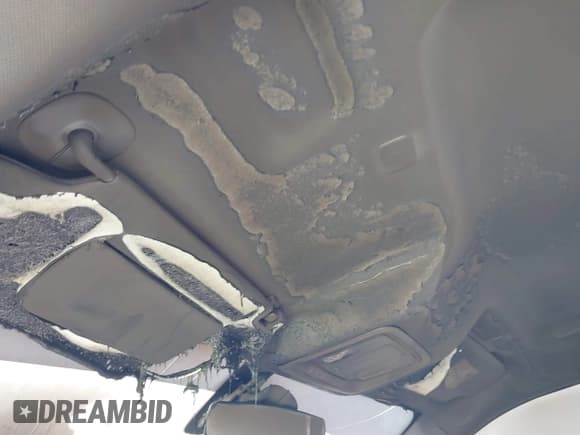 ✅ 2019 Chevrolet Silverado 1500 LT • VIN: 1GCPYDEKXKZ394243 • Lot: 41821628. Wystawiony na IAAI z przebiegiem Nie podano. Bezpłatny archiwum sprzedaży aukcyjnych z USA i szczegółowy raport historii pojazdu na DreamBid. Zdjęcie 13.