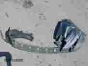 2017 Hyundai Tucson Sport with VIN KM8J33A20HU504559, listed as a IAAI auction lot 42003765 with 139,767 mi miles and . Bid and sale history available at DreamBid. Image 12.