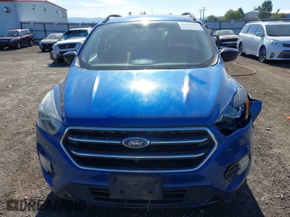 ✅ 2019 Ford Escape SE • VIN: 1FMCU9GD5KUA21304 • Lot: 43412070. Listed on IAAI with 136,834 mi. Free auction sales archive from the USA and detailed vehicle history report at DreamBid. Image 12.
