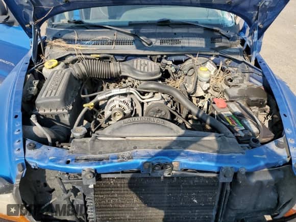 1998 Dodge Dakota SLT z VIN 1B7GG22X3WS743975, wystawiony jako Copart lot #74474074 z przebiegiem Nie podano mil oraz Czysty tytuł • Clean title. Historia ofert i sprzedaży dostępna na DreamBid. Obrazek 11.