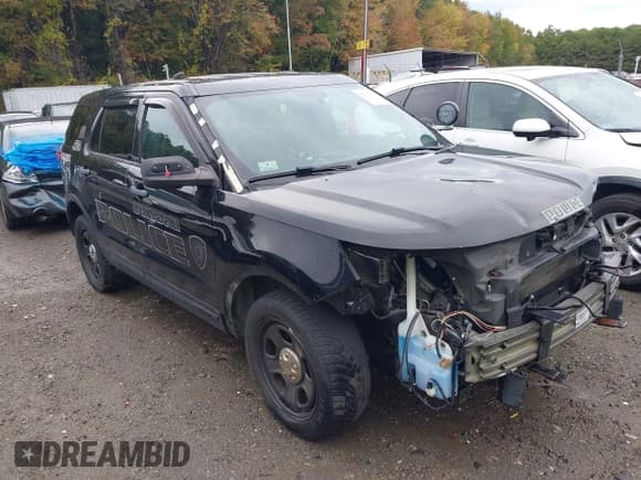 ✅ 2018 Ford Police Interceptor Utility • VIN: 1FM5K8AR2JGA32724 • Lot: 43370370. Wystawiony na IAAI z przebiegiem 132 869 mil. Bezpłatny archiwum sprzedaży aukcyjnych z USA i szczegółowy raport historii pojazdu na DreamBid. Zdjęcie 1.