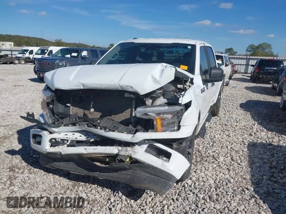 ✅ 2019 Ford F-150 XL • VIN: 1FTEW1CP2KKF15446 • Lot: 43568766. Listed on IAAI with 97,751 mi. Free auction sales archive from the USA and detailed vehicle history report at DreamBid. Image 6.