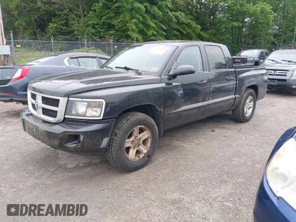 ✅ 2010 Dodge Dakota Bighorn/Lonestar • VIN: 1D7CW3GK8AS202813 • Lot: 42467823. Wystawiony na IAAI z przebiegiem 166 294 mil. Bezpłatny archiwum sprzedaży aukcyjnych z USA i szczegółowy raport historii pojazdu na DreamBid. Zdjęcie 2.