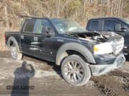 ✅ 2008 Ford F-150 XLT • VIN: 1FTPW145X8FA75211 • Lot: 41688354. Wystawiony na IAAI z przebiegiem Nie podano. Bezpłatny archiwum sprzedaży aukcyjnych z USA i szczegółowy raport historii pojazdu na DreamBid. Zdjęcie 1.