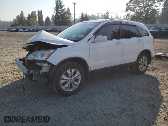✅ 2008 Honda CR-V EX-L • VIN: JHLRE48748C037647 • Lot: 81735725. Listed on Copart with 187,547 mi. Free auction sales archive from the USA and detailed vehicle history report at DreamBid. Image 1.