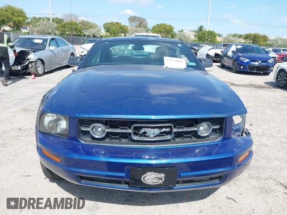 ✅ 2006 Ford Mustang Standard • VIN: 1ZVFT80NX65129626 • Lot: 42114060. Listed on IAAI with 163,263 mi. Free auction sales archive from the USA and detailed vehicle history report at DreamBid. Image 13.