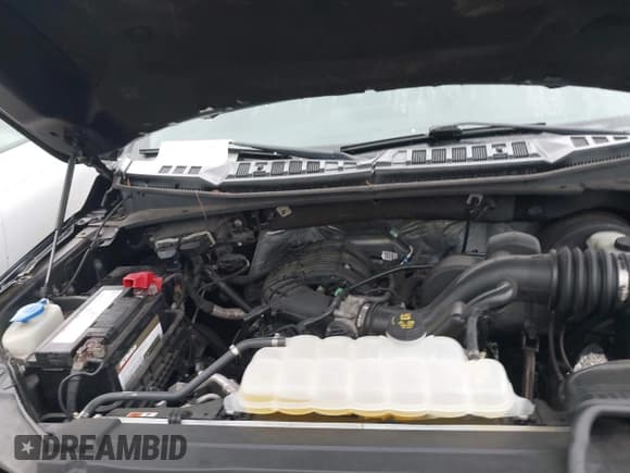 ✅ 2015 Ford F-150 XL • VIN: 1FTMF1C84FFB49007 • Lot: 42202553. Listed on IAAI with 118,130 mi. Free auction sales archive from the USA and detailed vehicle history report at DreamBid. Image 10.