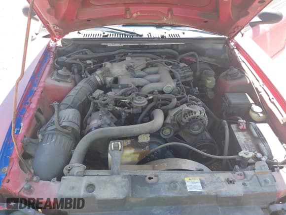 ✅ 2002 Ford Mustang Standard • VIN: 1FAFP40412F111534 • Lot: 42959089. Wystawiony na IAAI z przebiegiem 172 206 mil. Bezpłatny archiwum sprzedaży aukcyjnych z USA i szczegółowy raport historii pojazdu na DreamBid. Zdjęcie 10.