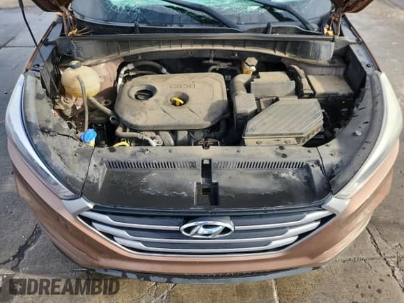 ✅ 2017 Hyundai Tucson SE • VIN: KM8J3CA45HU276205 • Лот: 87124935. Опубликован ранее на Copart с пробегом Не указан. Бесплатный доступ к архиву аукционных продаж из США и подробный отчёт об истории автомобиля на DreamBid. Изображение 12.